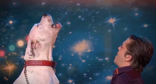 dog singing 